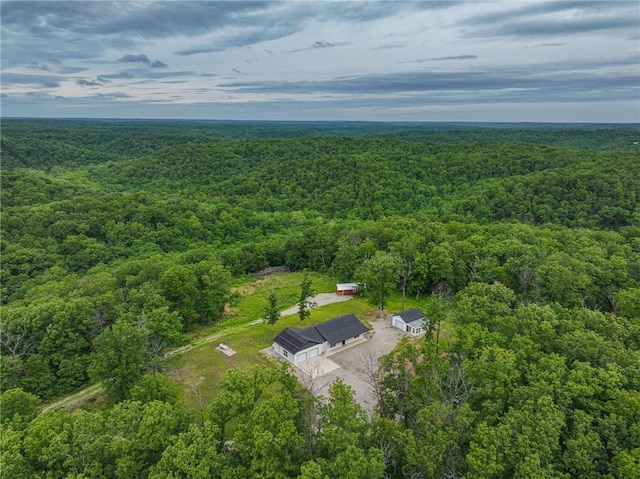 3813 Mt Horeb Rd, Camdenton, MO 65020 - aerial view of a forest