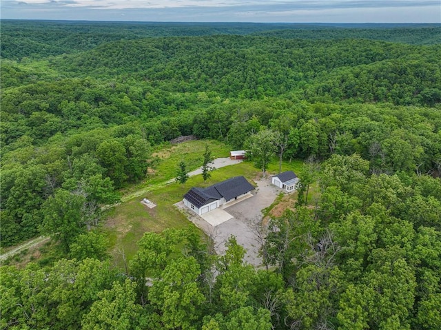 3813 Mt Horeb Rd, Camdenton, MO 65020 - view of subject property featuring a forest