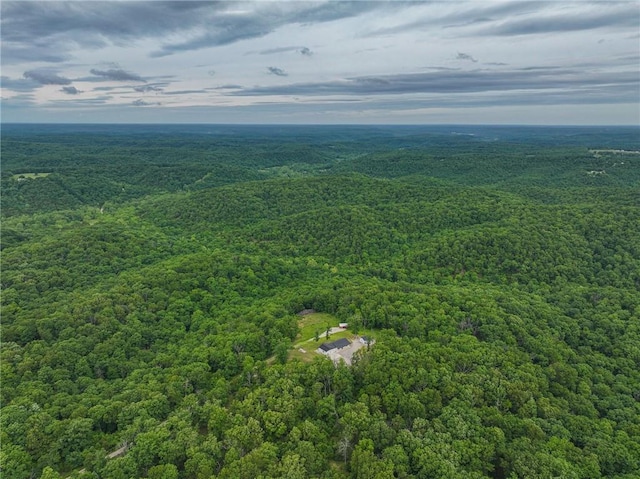 3813 Mt Horeb Rd, Camdenton, MO 65020 - drone / aerial view of a forest