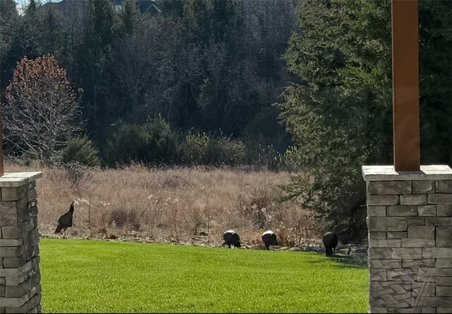 25749 W 96th Ter, Lenexa, KS 66227 - view of grassy yard
