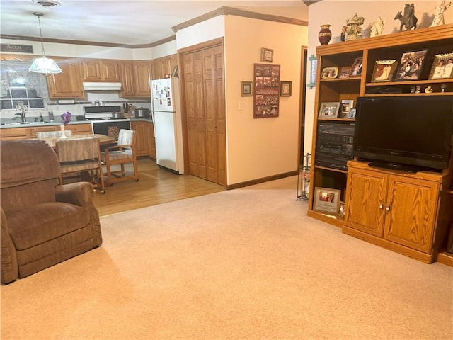 33307 Bittner Dr, Warsaw, MO 65355 - living room featuring ornamental molding and light carpet
