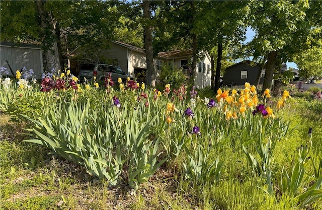 33307 Bittner Dr, Warsaw, MO 65355 - view of yard