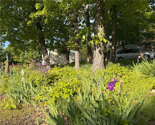 33307 Bittner Dr, Warsaw, MO 65355 - view of yard