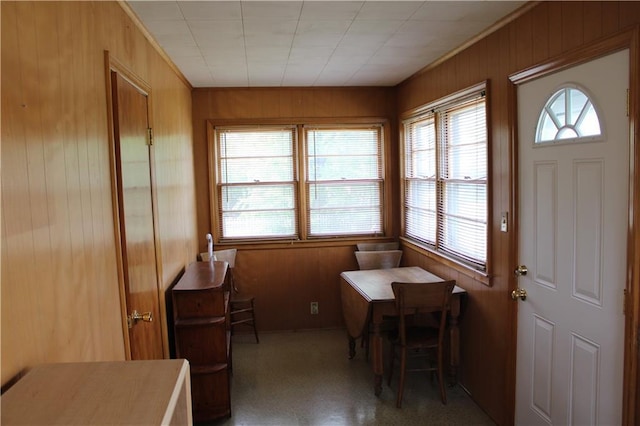 interior space featuring wooden walls