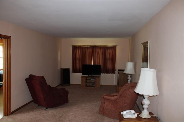 living area featuring light colored carpet