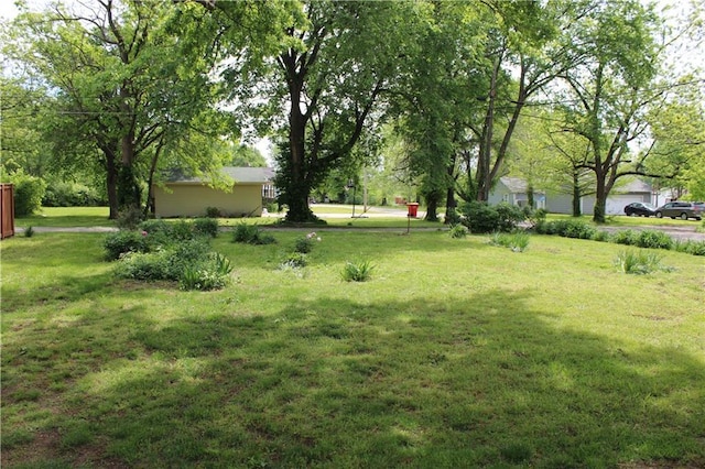 view of yard