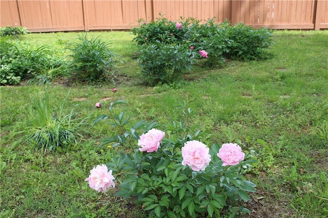 view of yard with fence