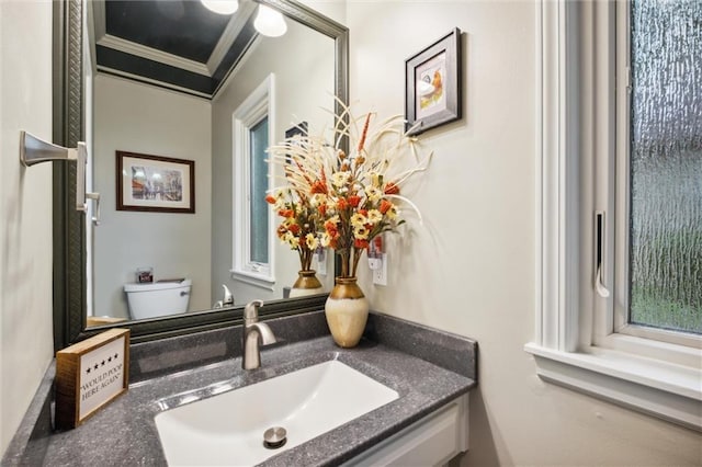 14910 Rhodes Cir, Lenexa, KS 66215 - bathroom with vanity and ornamental molding
