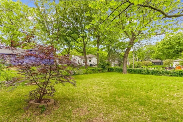 5707 W 101st Ter, Overland Park, KS 66207 - view of green lawn