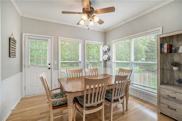 15951 S Avalon St, Olathe, KS 66062 - dining space with light wood finished floors, a ceiling fan, plenty of natural light, crown molding, and a textured ceiling