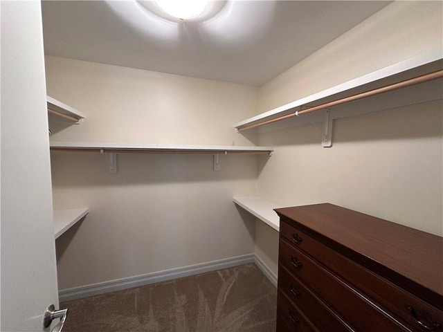 4950 Central St Unit 102, Kansas City, MO 64112 - spacious closet with dark colored carpet