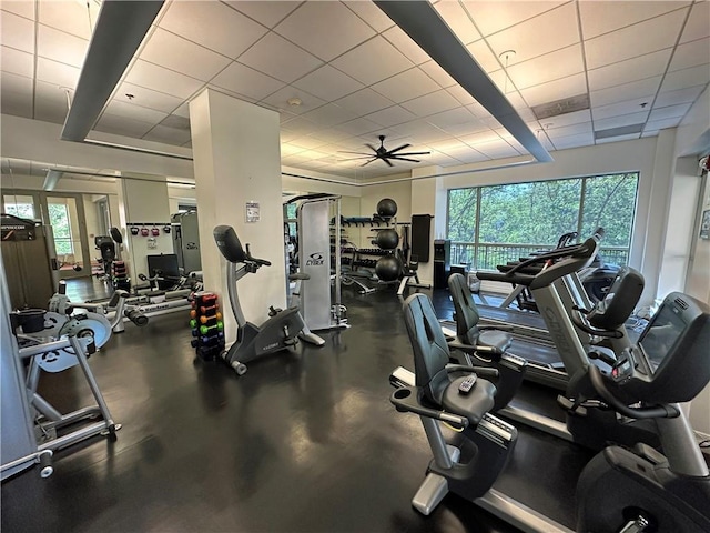 4950 Central St Unit 102, Kansas City, MO 64112 - workout area featuring ceiling fan and a drop ceiling