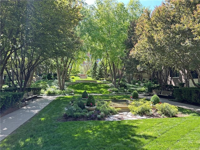 4950 Central St Unit 102, Kansas City, MO 64112 - view of community featuring a yard