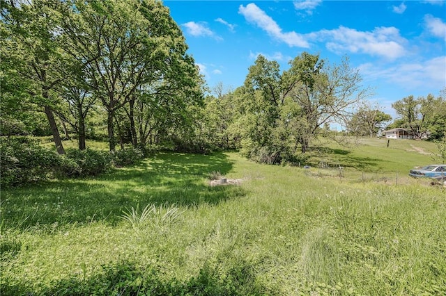 6132 N Eugene Field Rd, Kansas City, MO 64119 - view of yard