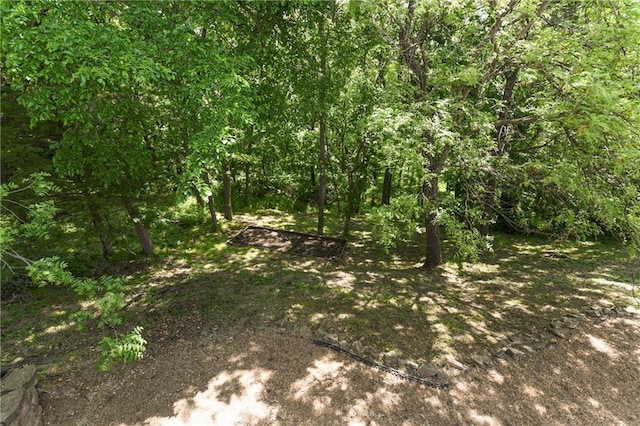 view of undeveloped land