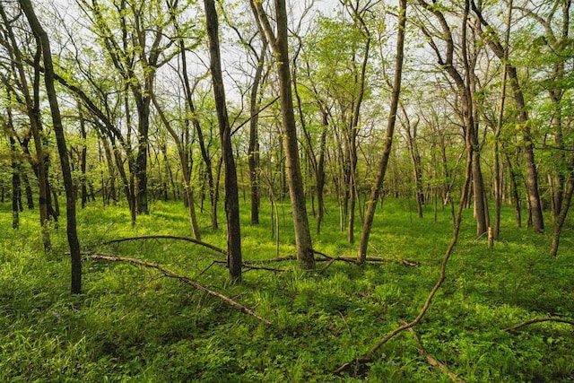 23249 NW Mitchell Rd, Garnett, KS 66032 - view of undeveloped land