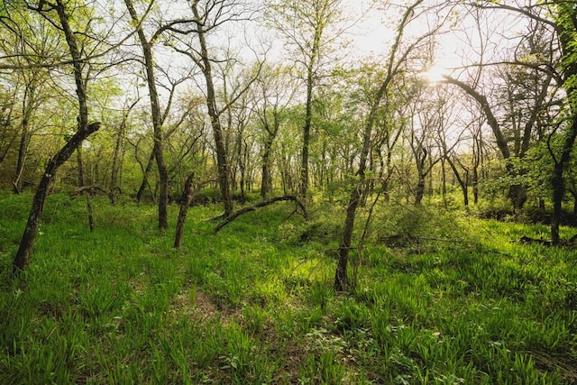 23249 NW Mitchell Rd, Garnett, KS 66032 - view of wooded area