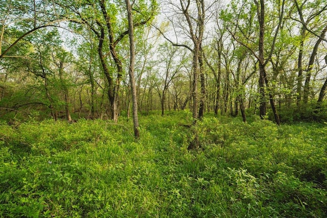 23249 NW Mitchell Rd, Garnett, KS 66032 - view of tree filled area