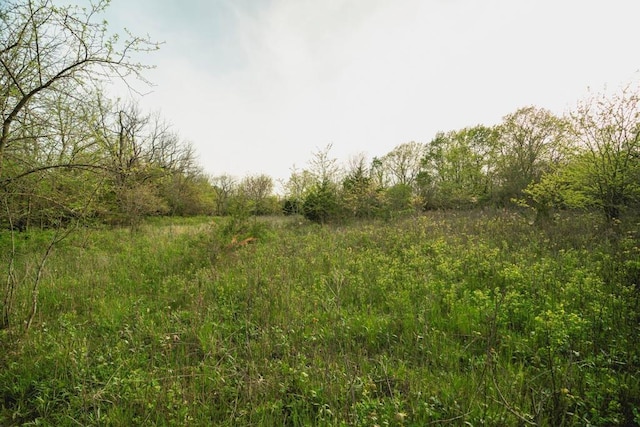 23249 NW Mitchell Rd, Garnett, KS 66032 - view of local wilderness