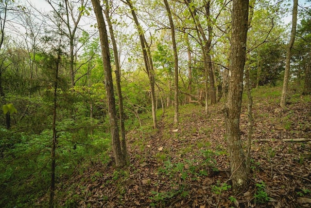 23249 NW Mitchell Rd, Garnett, KS 66032 - view of wooded area