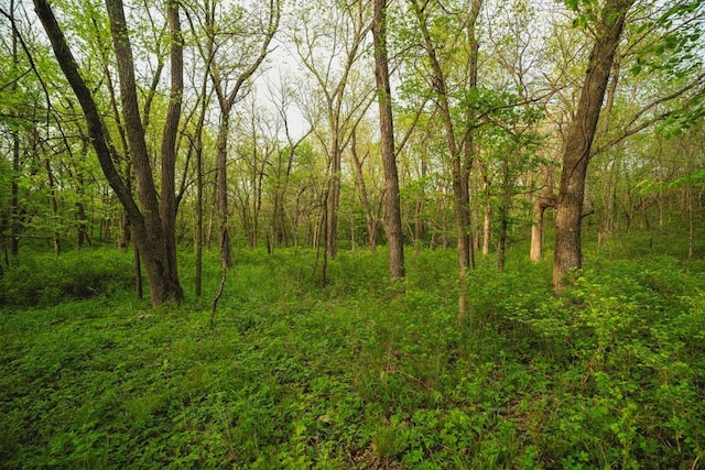 23249 NW Mitchell Rd, Garnett, KS 66032 - view of tree filled area