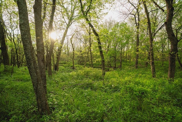 23249 NW Mitchell Rd, Garnett, KS 66032 - view of woods