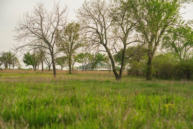 23249 NW Mitchell Rd, Garnett, KS 66032 - view of nature