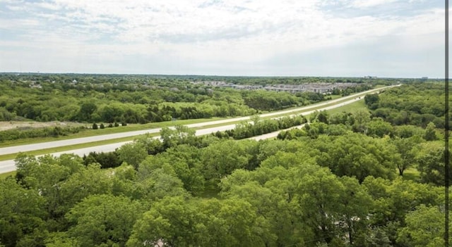 12100 Hedge Lane Ter, Olathe, KS 66061 - aerial view of a forest