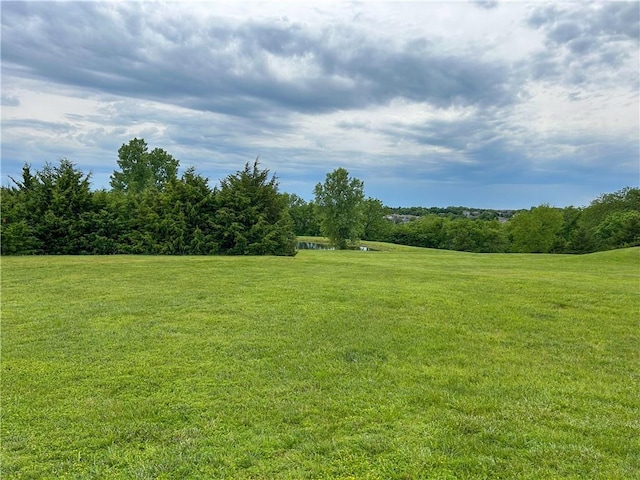 12100 Hedge Lane Ter, Olathe, KS 66061 - view of grassy yard