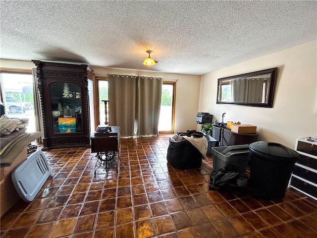 12100 Hedge Lane Ter, Olathe, KS 66061 - living area with a textured ceiling