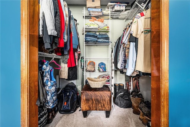 walk in closet featuring carpet flooring