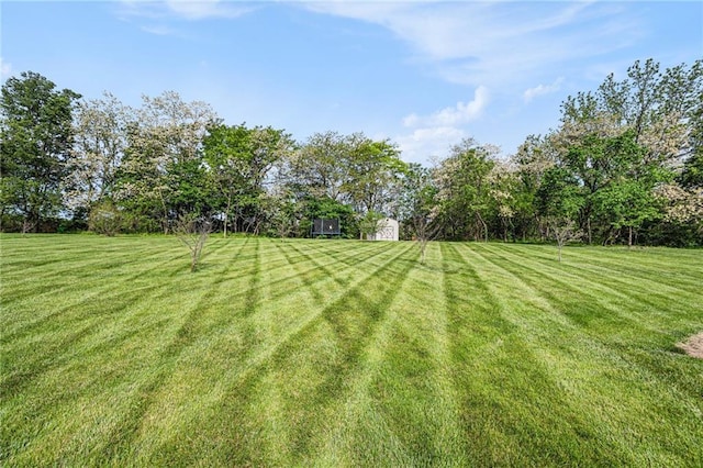 view of grassy yard