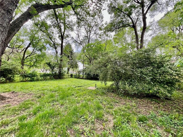 8416 Greenwood Rd, Raytown, MO 64138 - view of yard