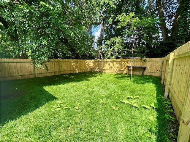 2243 Spruce Ave, Kansas City, MO 64127 - view of yard