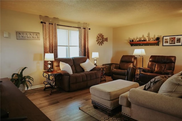 7164 State Route T Hwy, Amazonia, MO 64421 - living area with wood-type flooring, a textured ceiling, and baseboards