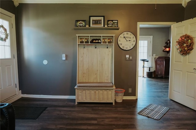 7164 State Route T Hwy, Amazonia, MO 64421 - mudroom with healthy amount of natural light, dark wood-type flooring, and baseboards