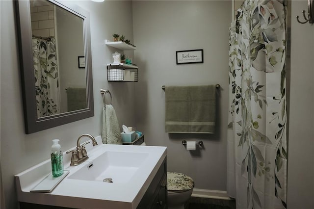7166 State Route T Hwy, Amazonia, MO 64421 - bathroom featuring vanity and a shower with curtain