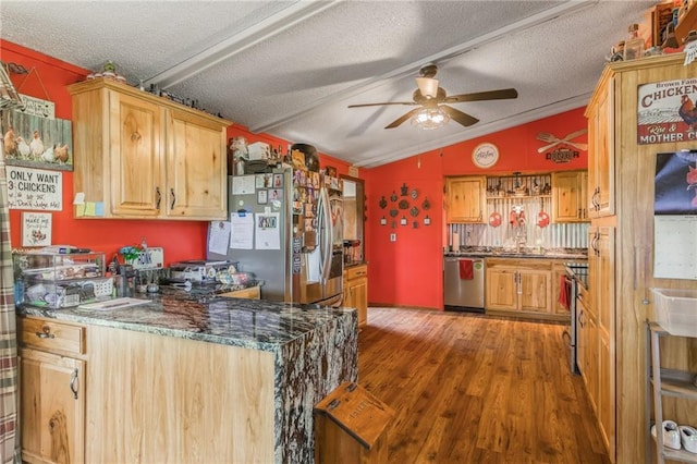 13813 Petty Rd, Kearney, MO 64060 - kitchen featuring a ceiling fan, a textured ceiling, lofted ceiling, and stainless steel appliances