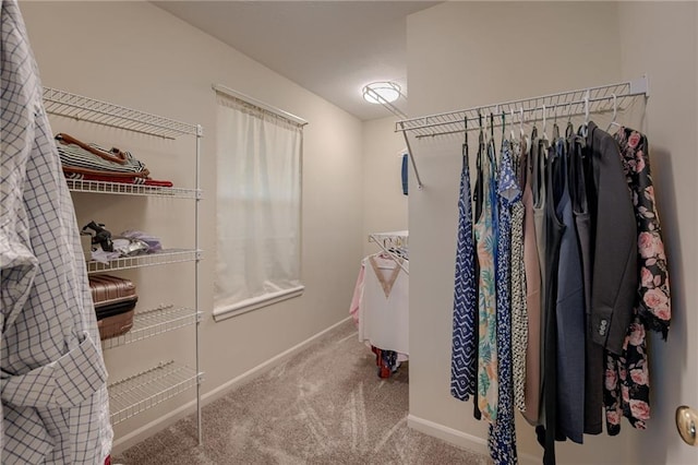 748 SW Windsong Cir, Lees Summit, MO 64082 - walk in closet with carpet flooring