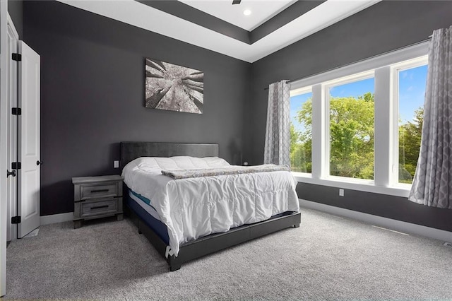 28897 Hackberry Cir, Paola, KS 66071 - carpeted bedroom featuring baseboards and recessed lighting