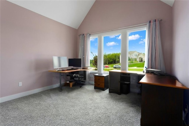 28897 Hackberry Cir, Paola, KS 66071 - office space featuring light colored carpet, baseboards, and high vaulted ceiling