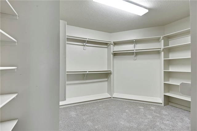 6330 N Nevada Ave, Parkville, MO 64152 - walk in closet with carpet flooring