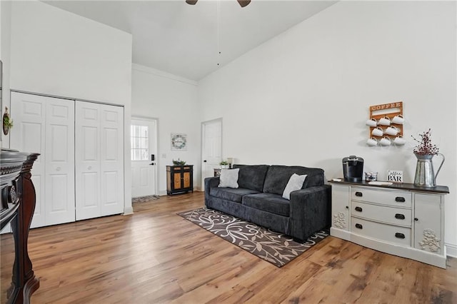 17311 Blue Moon Ln, Tonganoxie, KS 66086 - living room with high vaulted ceiling, light wood-type flooring, a ceiling fan, and baseboards