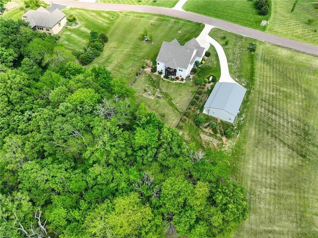 17311 Blue Moon Ln, Tonganoxie, KS 66086 - aerial view