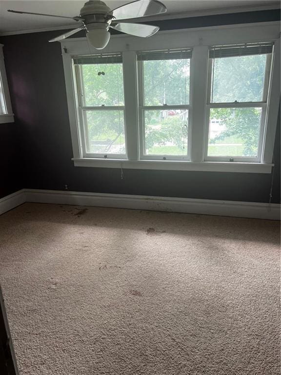 315 W 4th St, Ottawa, KS 66067 - unfurnished room with healthy amount of natural light, carpet floors, baseboards, ornamental molding, and ceiling fan