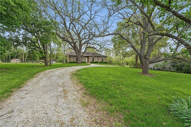 view of front of property featuring curved driveway and a front yard