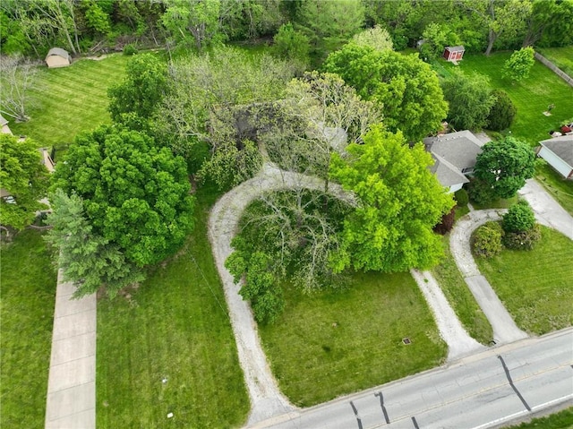 drone / aerial view