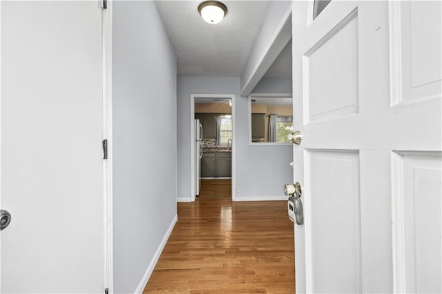 1608 SE Hillside Dr, Oak Grove, MO 64075 - corridor with wood finished floors, baseboards, a textured ceiling, and a sink