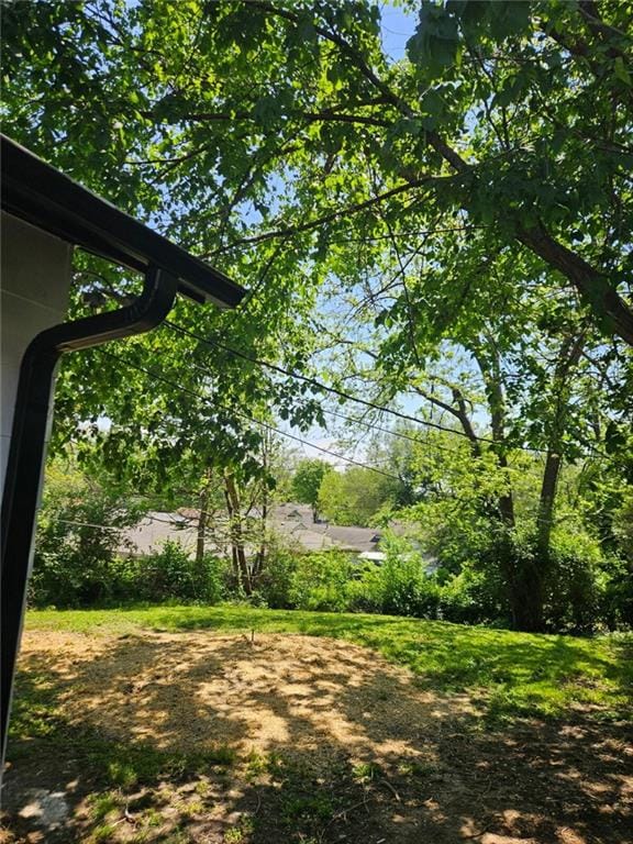 4715 E 45th St, Kansas City, MO 64130 - view of yard