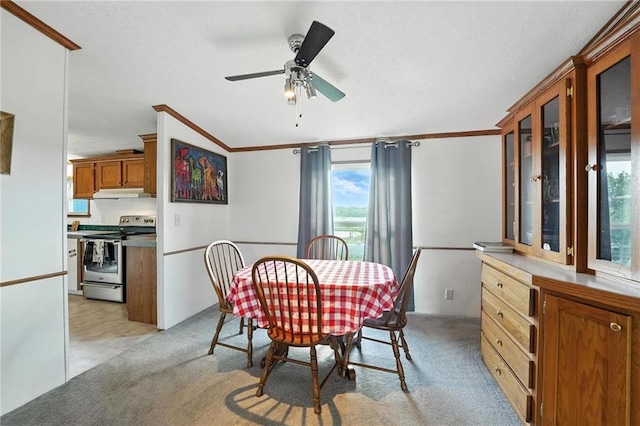 39460 Indianapolis Rd, Lane, KS 66042 - dining space with healthy amount of natural light, crown molding, light carpet, a textured ceiling, and ceiling fan